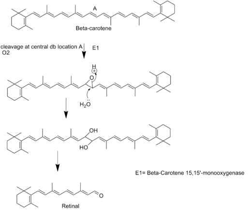 522px-Chem_157_vitamin_a_synthesis_project