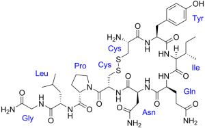 oxitocina