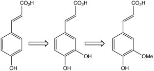 Biossíntese