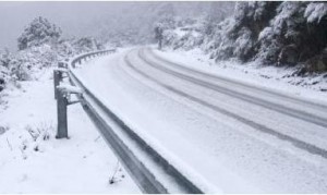Neve