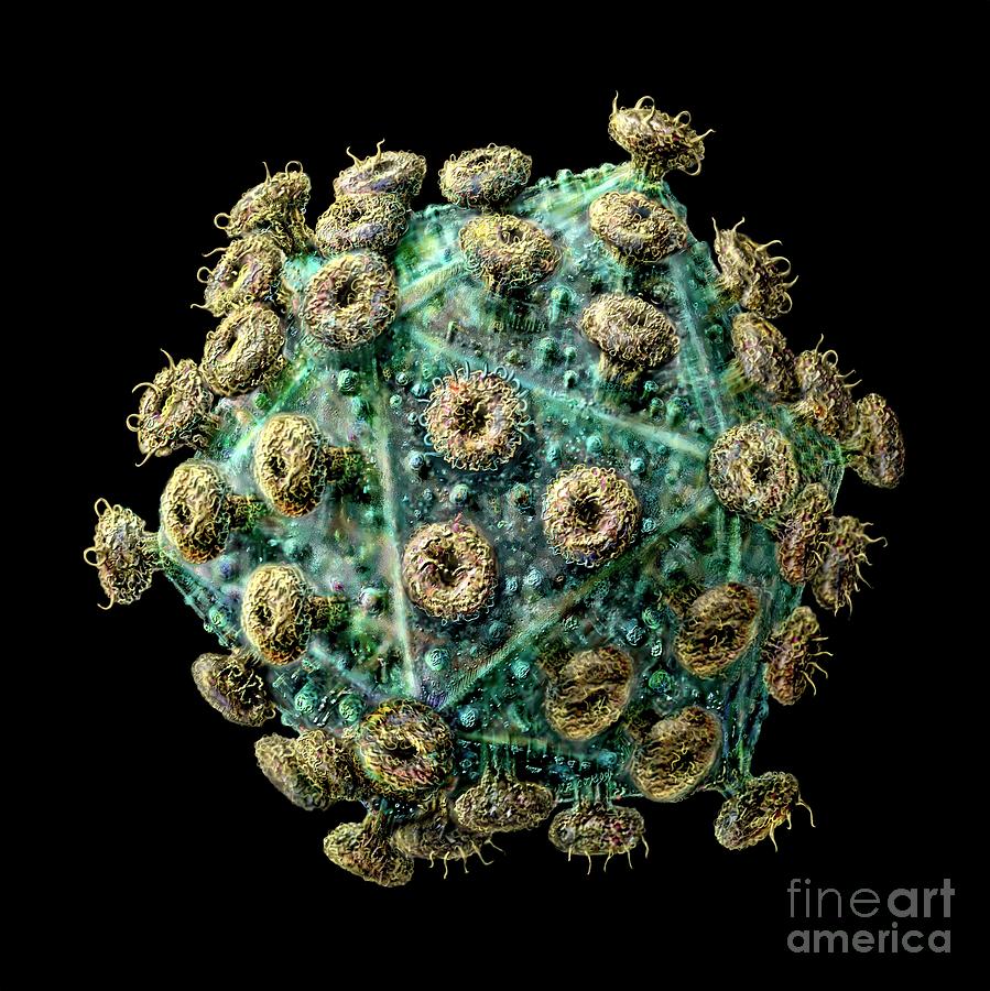 virus hiv