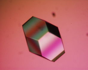 294px-Lysozyme_crystal1