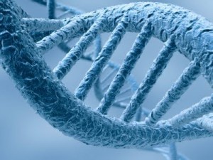 DNA