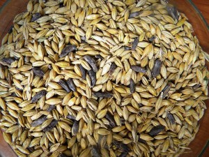 ertotamina