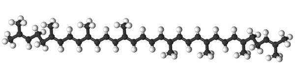 Lycopene-3D-balls-(rotated)