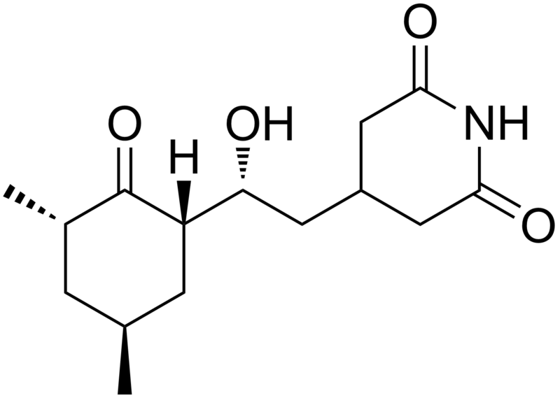 cicloheximida