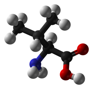 630px-L-valine-3D-balls