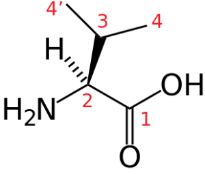 L-valine-structure-numbered.svg