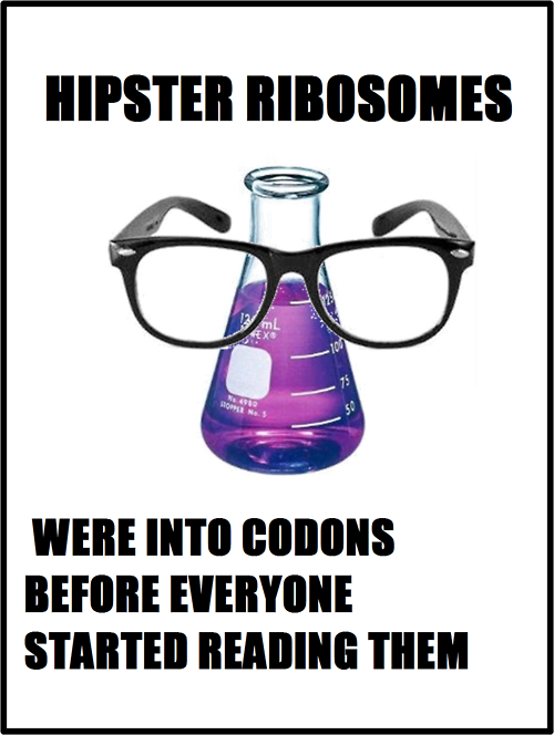 ribossomas