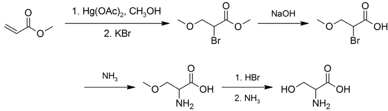 sintese de L-serina