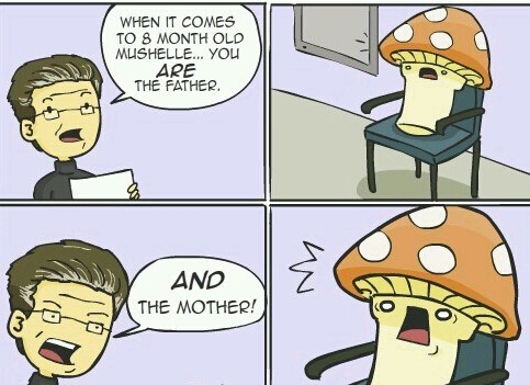 maury