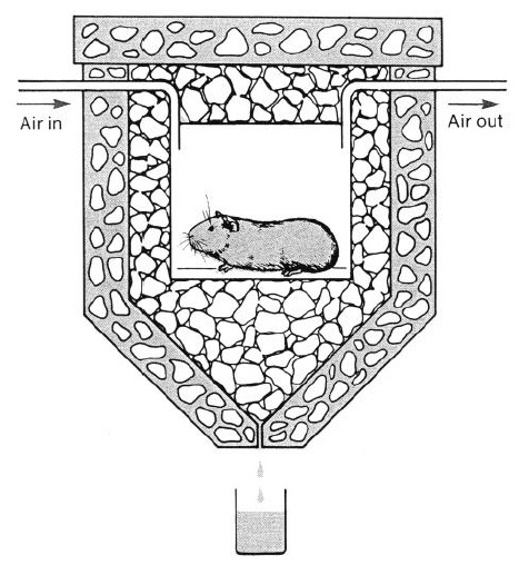 Fig. 1: calorímetro de Lavoisier