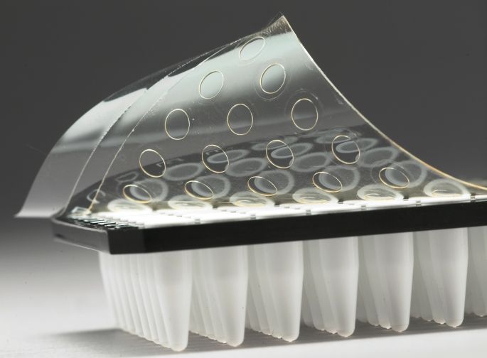 pcr