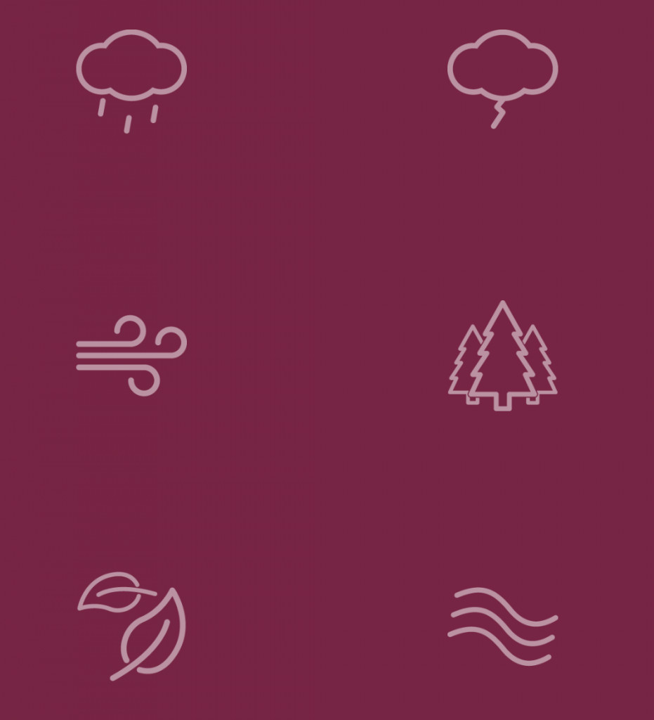 Noisli Sons