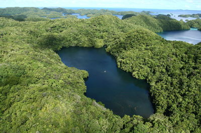 Vista aérea do Lago das Medusas