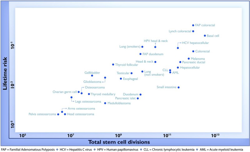 Figura 2 | Fig. 1 The relationship between the number of stem cell divisions in the lifetime of a given tissue and the lifetime risk of cancer in that tissue.
