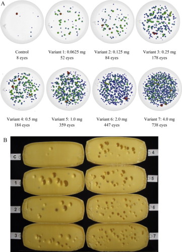 Visualização da formação deos olhos utilizando técnicas de tomografia computurizada em queijos Emmental com 45 dias (A) e corte transversal dos quejos após amadurecimento (130 dias: B). Os oito queijos foram produzidos com adição de diferentes concentrações de feno em pó. C - controlo.
