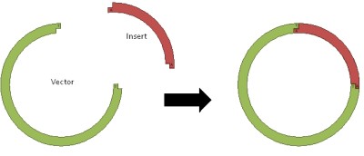 proj4afig7