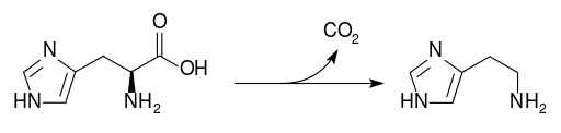 Histidine_decarboxylase.svg