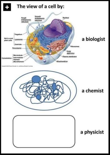 cell bio chem phy