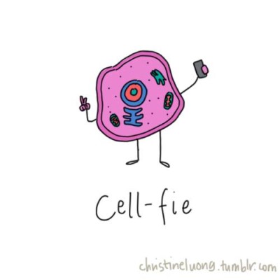 cellfie