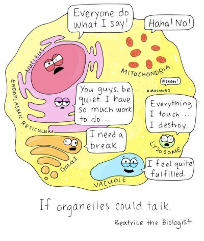 if organelles could talk