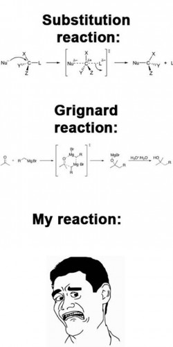 quimica orgânica what