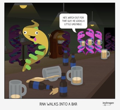 RNA unstable
