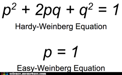 hardy weinberg equation easy