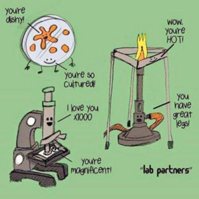 lab compliments
