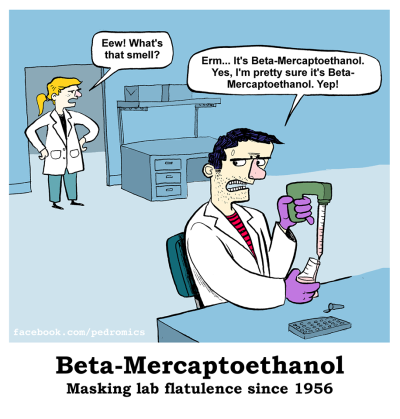 beta-mercaptoethanol