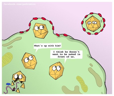 naked virus