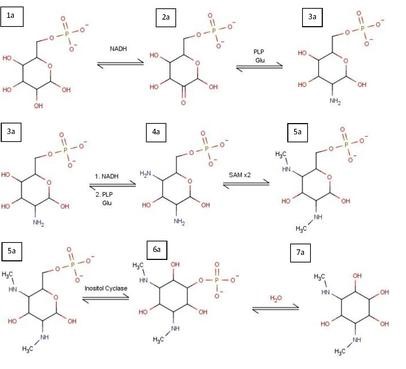 Spectinomycin....pdf