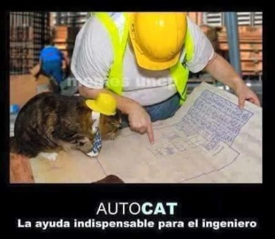 autocat