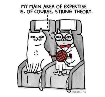 cats string theory