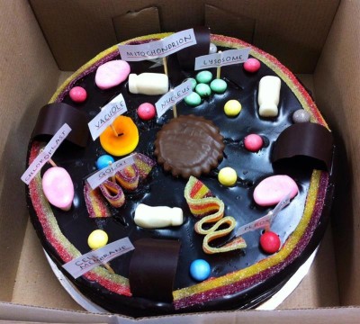 cell cake