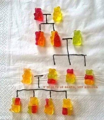 genetics