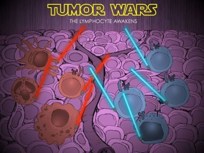 the lymphocyte awakens