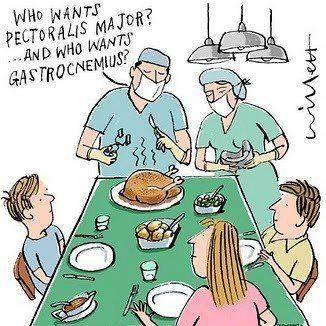 turkey lab science