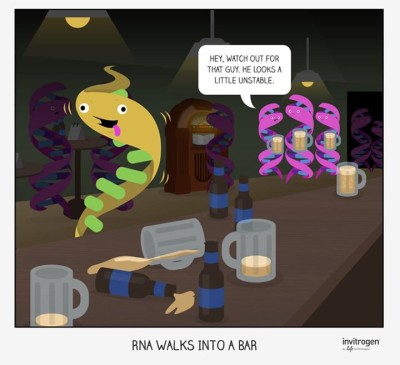 RNA unstable