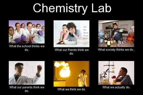 chemists do