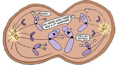 evil myosis