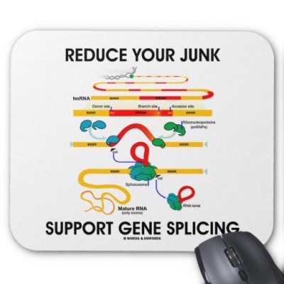 reduce junk gene splicing