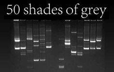 50 shades7