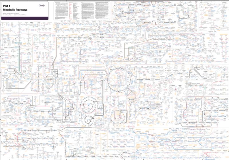 Roche - Mapas metabólicos e Processos celulares e moleculares 4