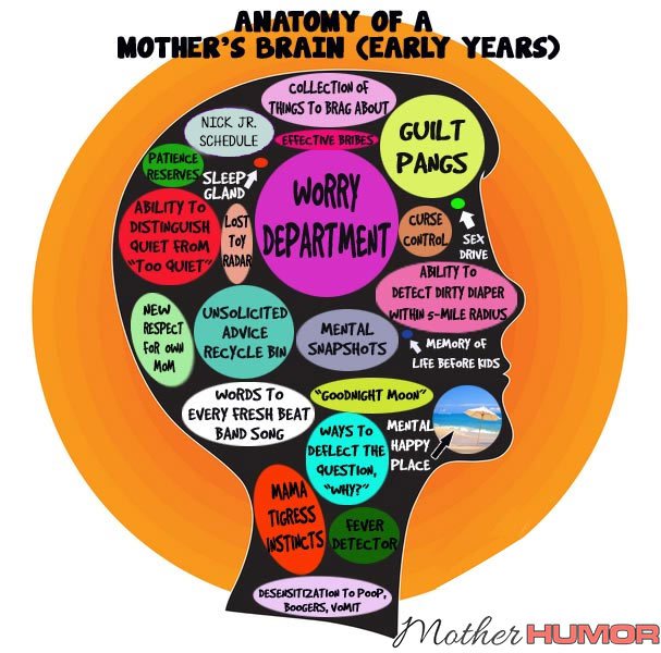 brain of mom