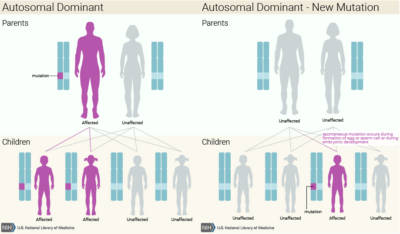 Diferença entre uma doença autossomal dominante com e sem mutação de novo