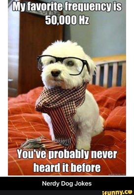 dog frequency