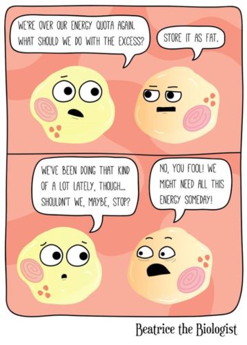 fat