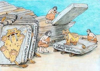 fossils